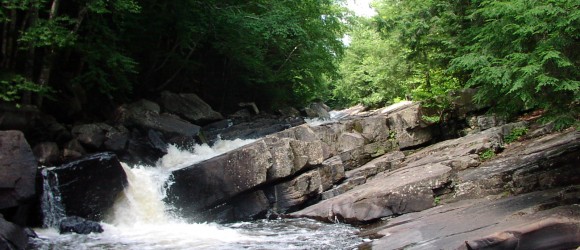 Large Mountain Bike Loop Trail System near Speculator